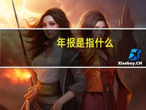 年报是指什么