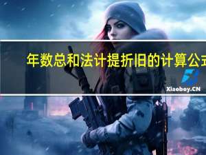 年数总和法计提折旧的计算公式