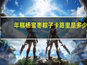 年糕杨 蜜枣粽子卡路里是多少