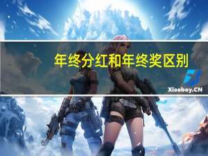 年终分红和年终奖区别