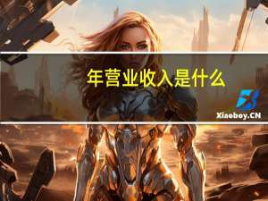 年营业收入是什么
