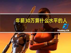 年薪30万算什么水平的人（年薪30万算什么水平）