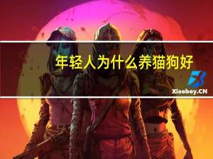 年轻人为什么养猫狗好