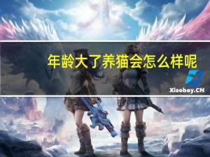 年龄大了养猫会怎么样呢