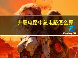 并联电路中总电路怎么算