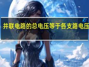 并联电路的总电压等于各支路电压之和