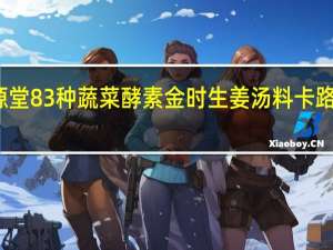 幸源堂 83种蔬菜酵素 金时生姜汤料卡路里是多少