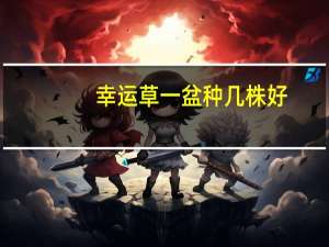 幸运草一盆种几株好