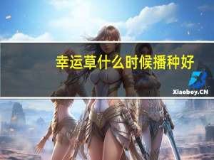 幸运草什么时候播种好