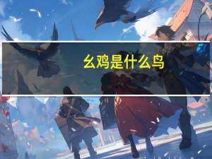 幺鸡是什么鸟