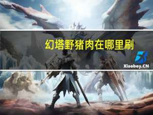 幻塔野猪肉在哪里刷-幻塔野猪详细位置介绍