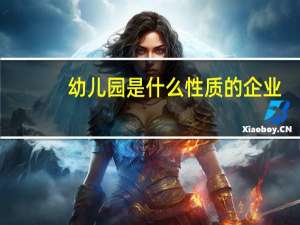 幼儿园是什么性质的企业