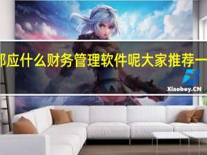 幼儿园财务老师都应什么财务管理软件呢大家推荐一款吧 企业财务管理软件