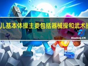 幼儿基本体操主要包括器械操和武术操两大类