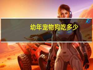 幼年宠物狗吃多少