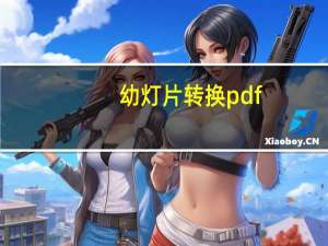 幼灯片转换pdf（幼虐片）