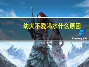 幼犬不爱喝水什么原因