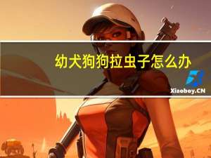 幼犬狗狗拉虫子怎么办