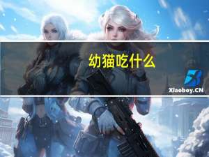 幼猫吃什么