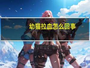 幼猫拉血怎么回事