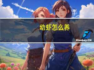 幼虾怎么养
