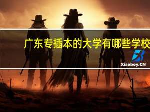 广东专插本的大学有哪些学校