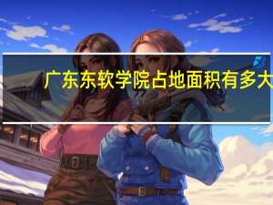 广东东软学院占地面积有多大
