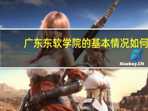 广东东软学院的基本情况如何