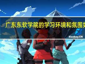 广东东软学院的学习环境和氛围如何
