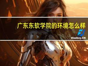 广东东软学院的环境怎么样