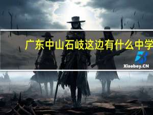 广东中山石岐这边有什么中学