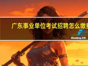 广东事业单位考试招聘怎么缴费
