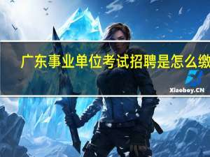 广东事业单位考试招聘是怎么缴费