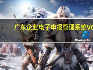 广东企业电子申报管理系统 V6.1 免费版（广东企业电子申报管理系统 V6.1 免费版功能简介）