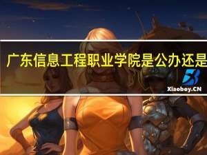 广东信息工程职业学院是公办还是民办