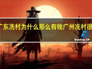 广东冼村为什么那么有钱 广州冼村很有钱吗