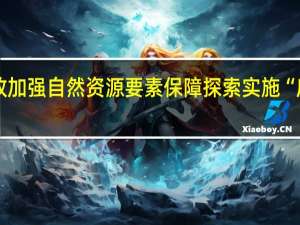 广东出台新政加强自然资源要素保障 探索实施“房券”“绿券”制度