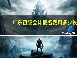 广东初级会计报名费用多少钱