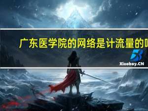 广东医学院的网络是计流量的吗