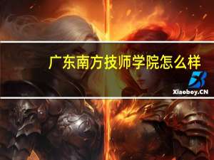 广东南方技师学院怎么样