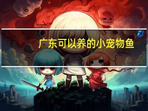 广东可以养的小宠物鱼