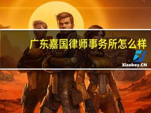 广东嘉国律师事务所怎么样