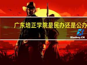 广东培正学院是民办还是公办