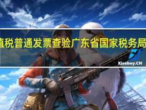 广东增值税普通发票查验 广东省国家税务局发票查验输入