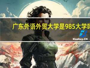 广东外语外贸大学是985大学吗