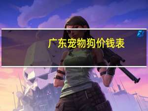 广东宠物狗价钱表