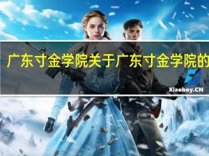 广东寸金学院 关于广东寸金学院的介绍