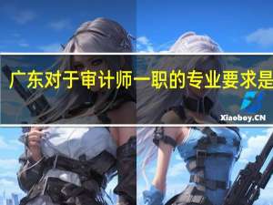 广东对于审计师一职的专业要求是什么