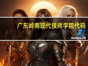 广东岭南现代技师学院代码