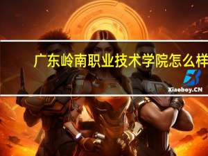 广东岭南职业技术学院怎么样